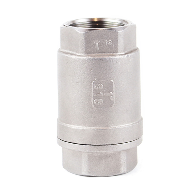 Stainless Steel Threaded Vertical Check Valve
